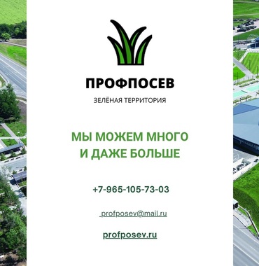 презентация